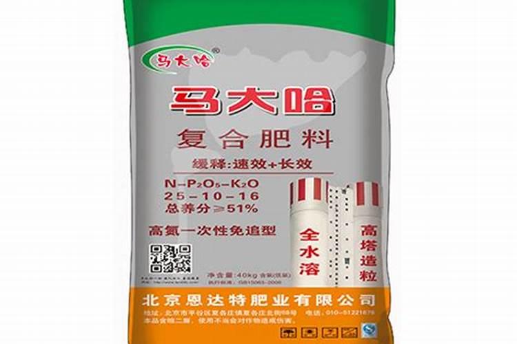 这花怎么了？黄叶子