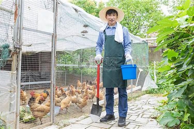 桃树施什么肥好 桃树施肥方法