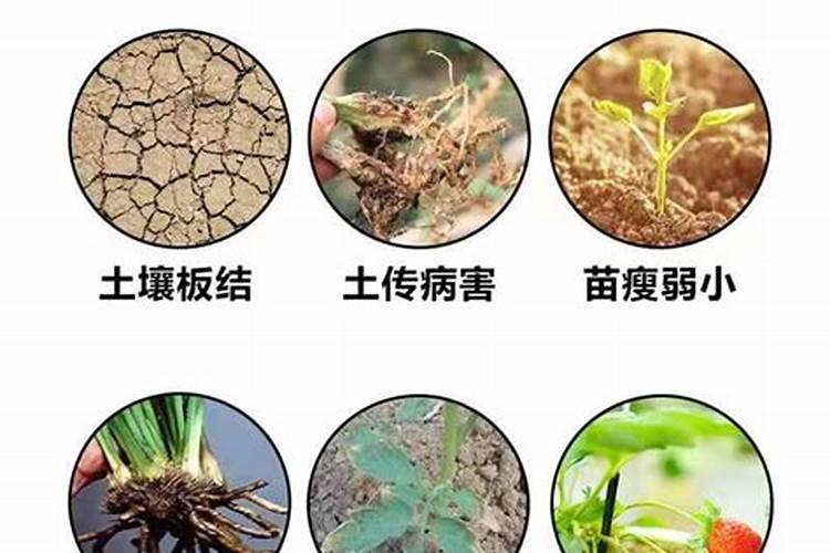 卤菜中用的硝水是怎样做的呀？