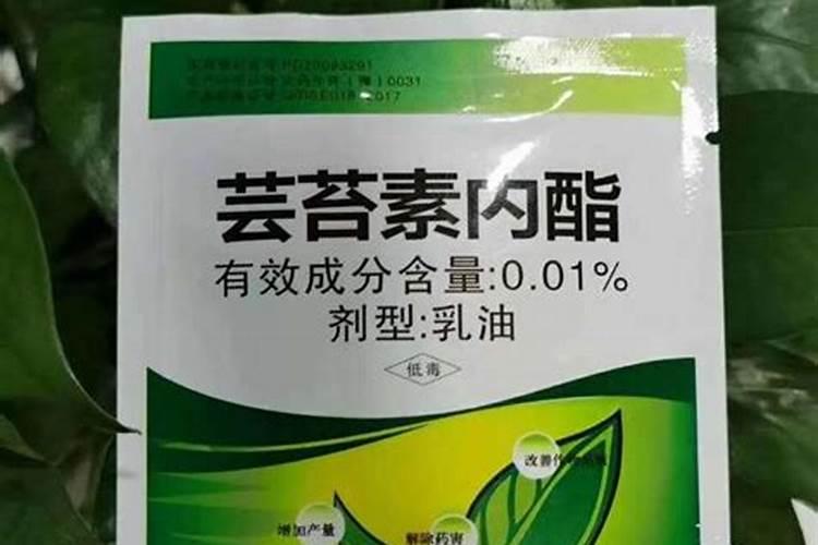 桔子皮泡水浇花需发酵多长时间