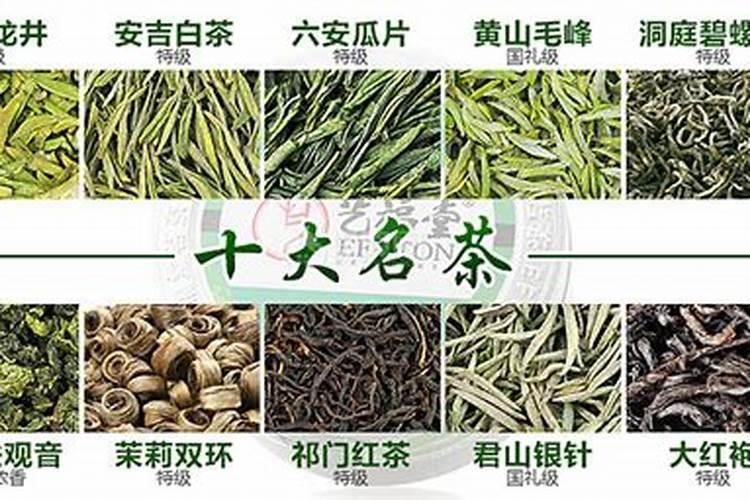 喷茶叶用什么海藻叶面肥