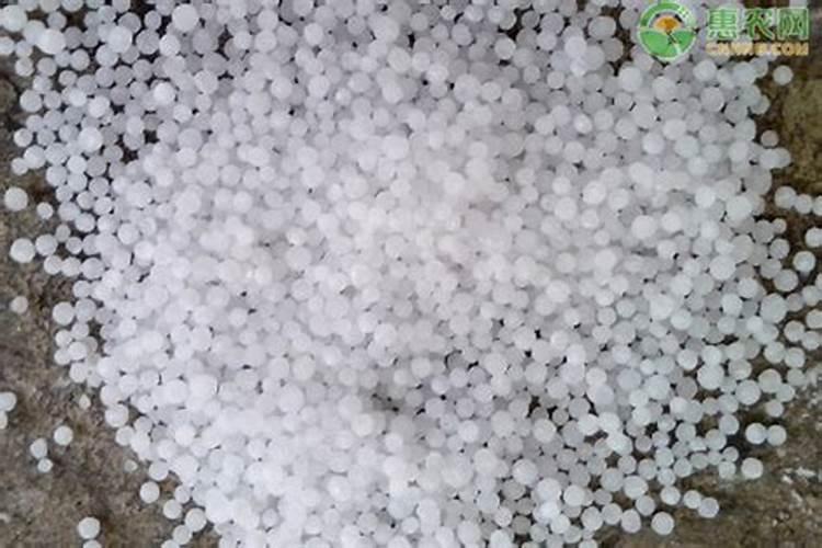 小麦施尿素后几天浇水 附尿素的使用方法