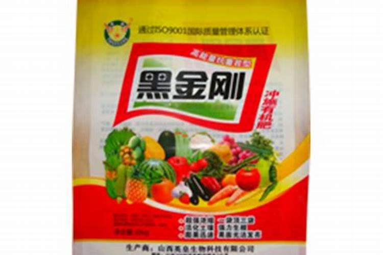 黑金刚的养护要点