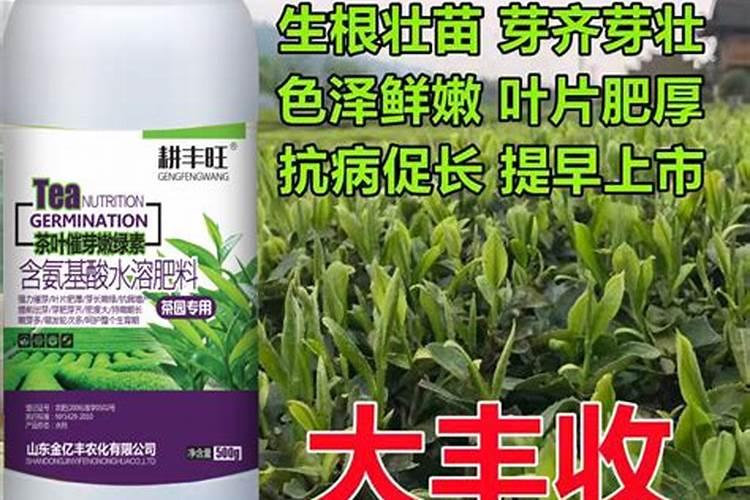 果苗喷了叶面肥多久才能,再喷杀虫杀菌药
