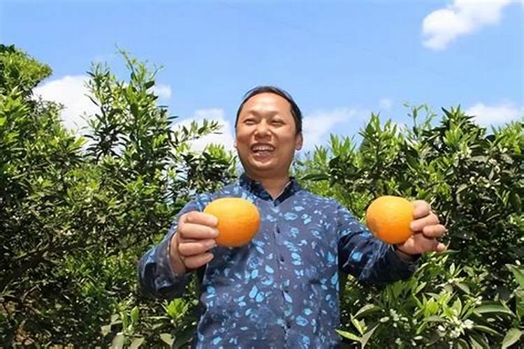 冬季果树如何防冻,冬季果树防冻新技术