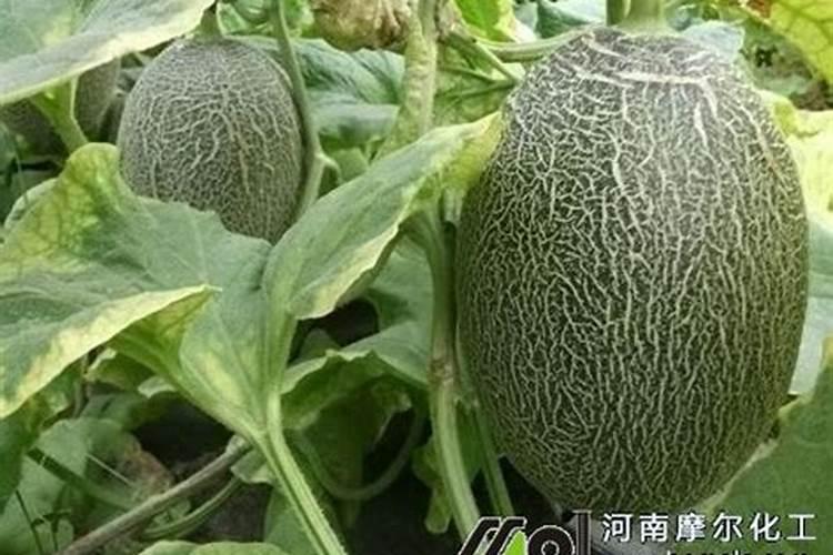 用氮气制造氮肥是利用了氮气的什么性质