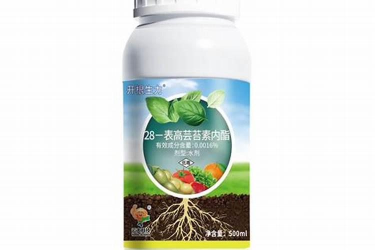 芸苔素拌小麦种剂量