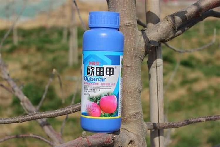新疆双龙腐植酸有限公司的产品与服务