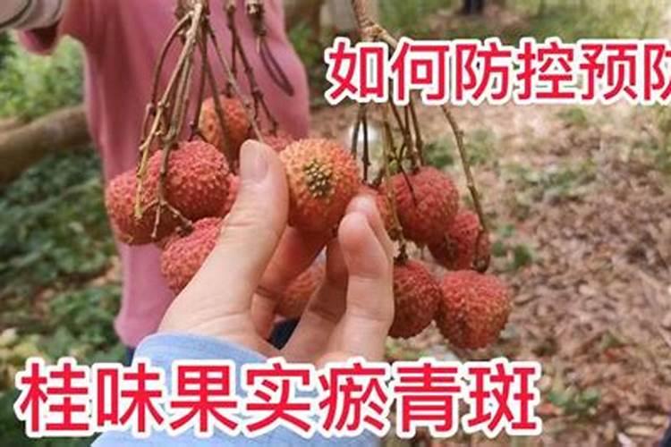 荔枝如果保花保果,用什么农药好？