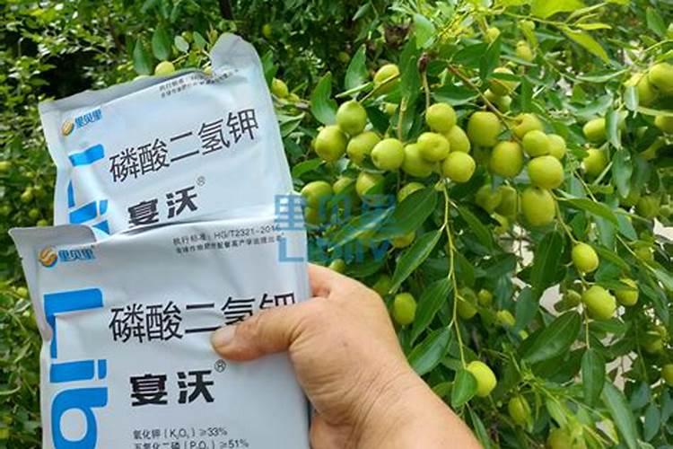 夏天棉花施肥方法和时间