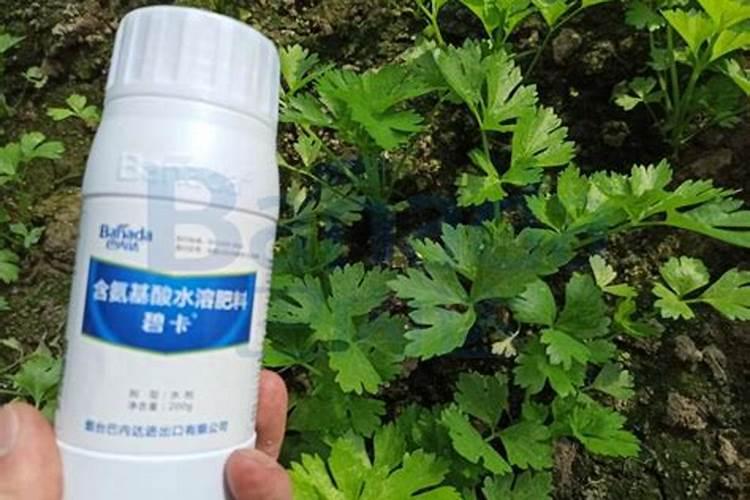 世界上十大名牌肥料排名