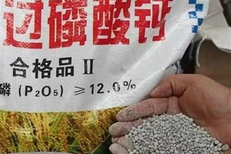 西瓜用磷酸二氢钾可以灌根吗