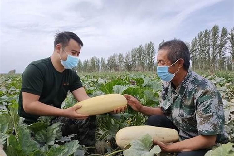 磷钾肥有哪些