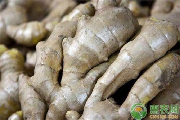 硅肥的作用及使用方法