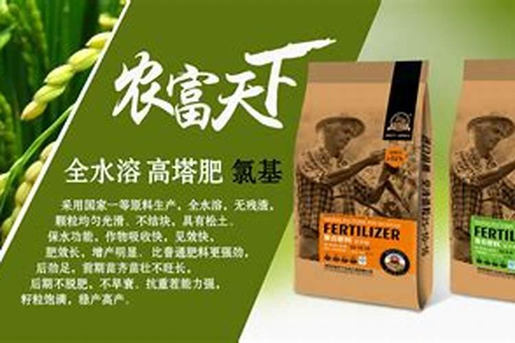 杨树什么时候施肥最好？