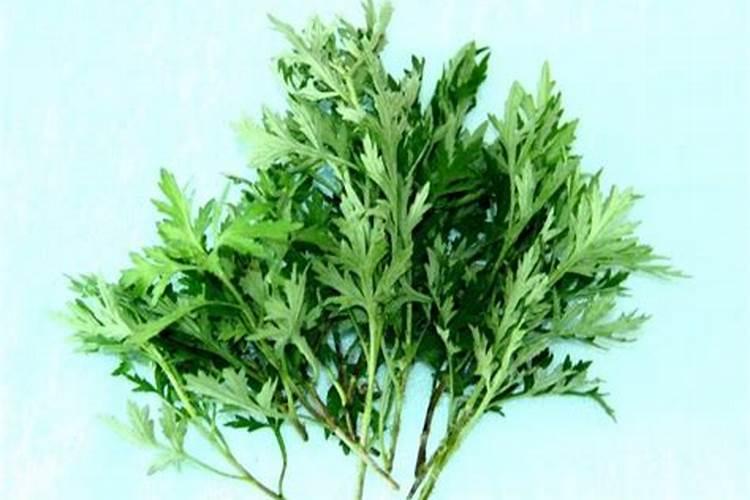 树叶可以发酵做肥料 怎么制作呢
