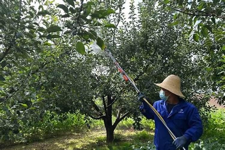 底肥怎样施才能达到最佳效果