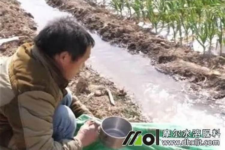 亚马逊英文首页的经营范围