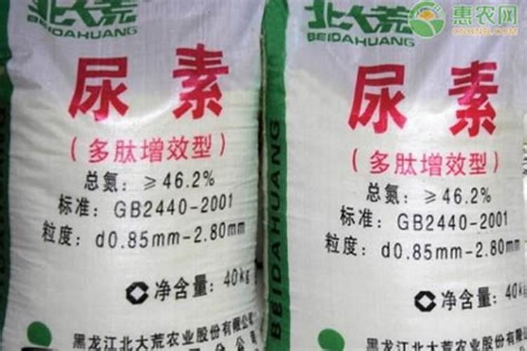 芸苔素的作用和使用方法