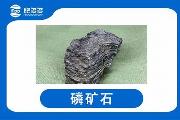 芸苔素对植物生长有什么作用？
