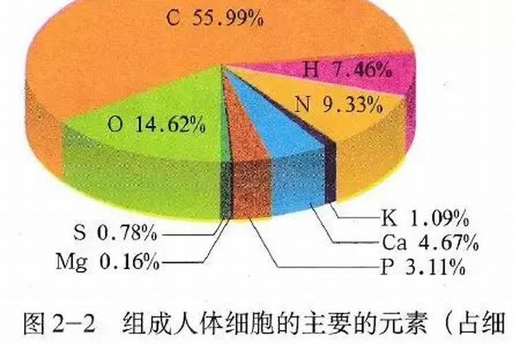 刚发芽的月季花可以施肥吗？刚成活发芽的月季花施肥