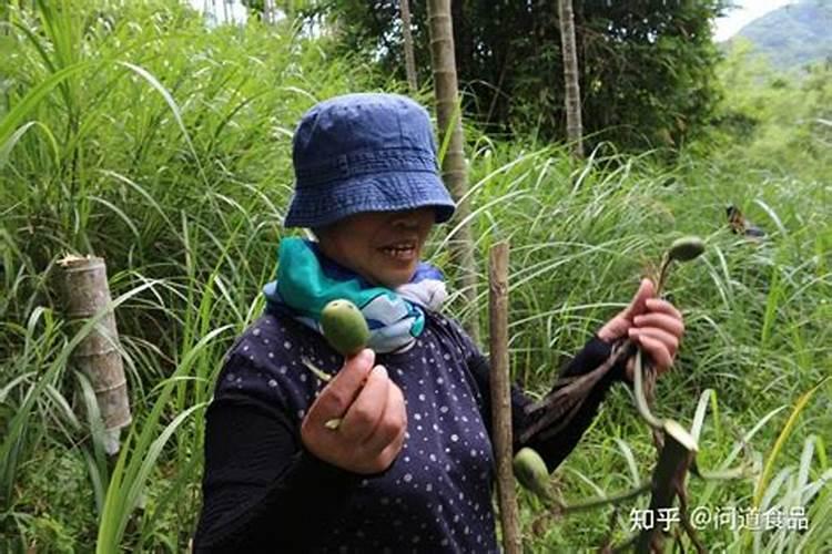 南方的种子能在北方种植吗？