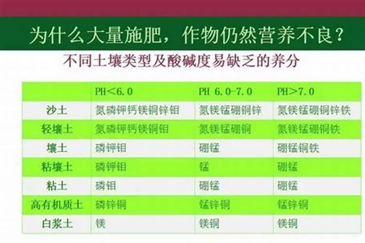 草莓苗什么时候施肥 草莓苗种植多久能施肥
