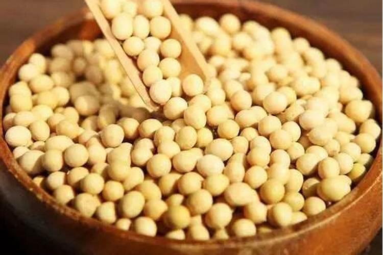 种植农作物的时候使用腐熟的黄豆粉做肥料,有什么好处？