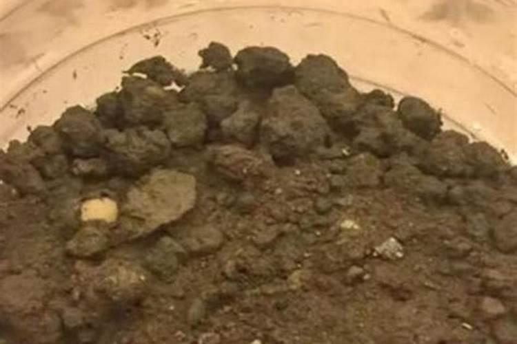 烂黄豆可以做肥料吗