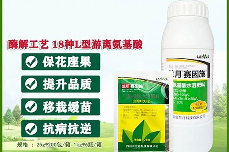 玉米使用叶面肥有什么效果？