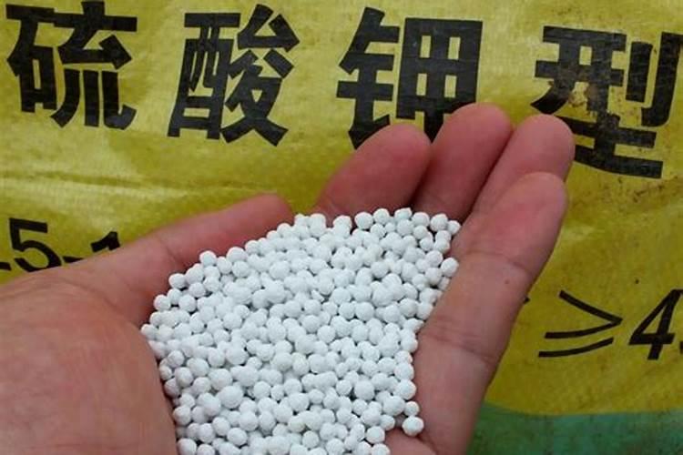 磷钾肥有哪几种