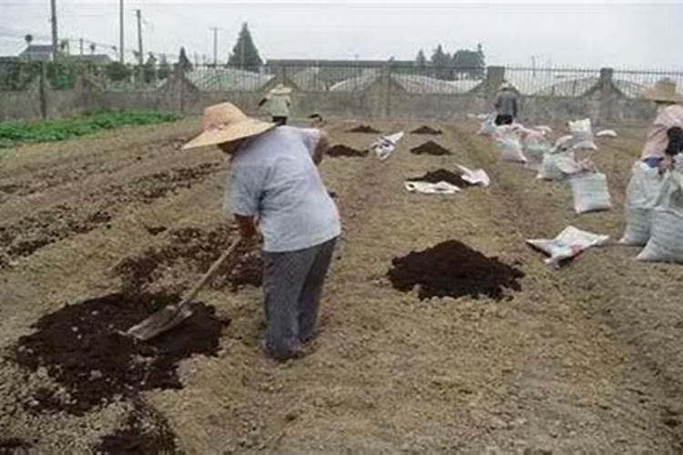 新疆滴灌棉花的水肥管理,具体化控参数？化肥和滴灌肥各阶段的用量？