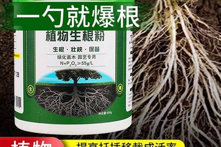 慧生根肥咋样