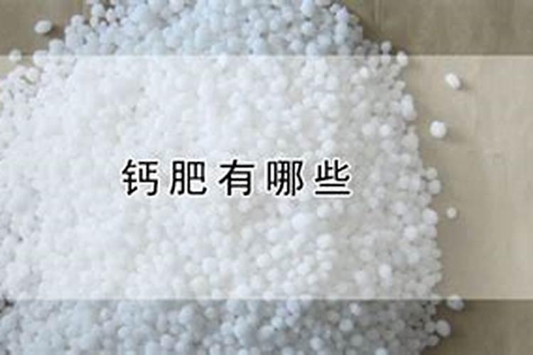 小麦追肥用尿素好吗,大颗粒尿素与小颗粒尿素有区别