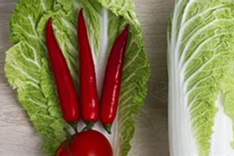 大白菜用什么肥料最好
