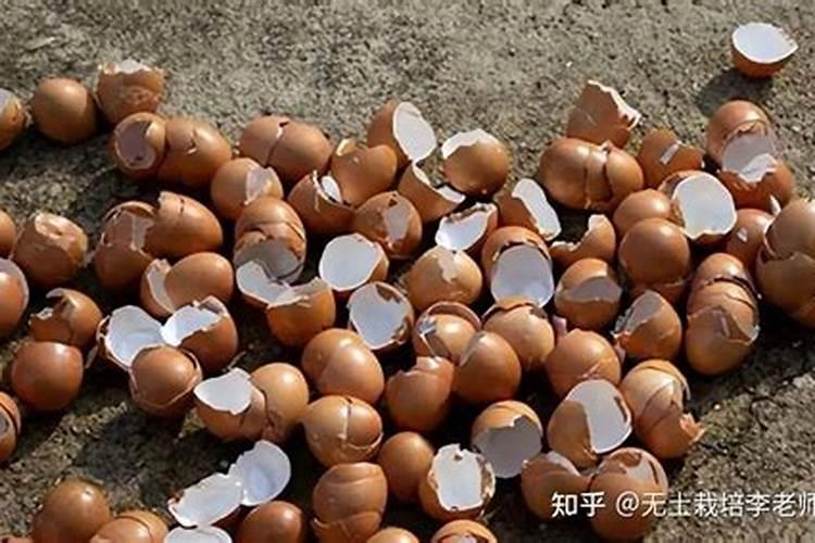 家庭自制磷钾肥有哪些 怎么使用效果好