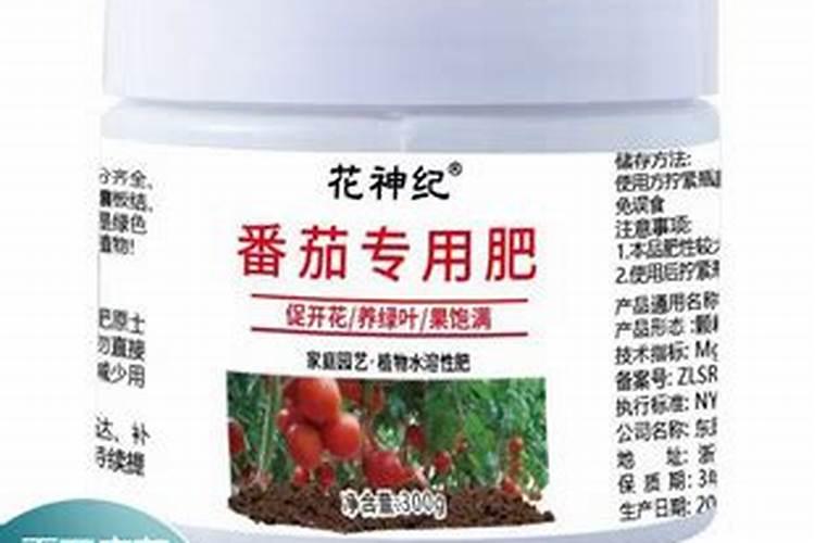 西红柿需用什么样的肥料