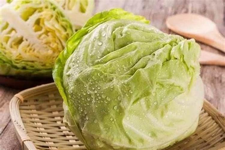 菊花心菜种植时间和方法
