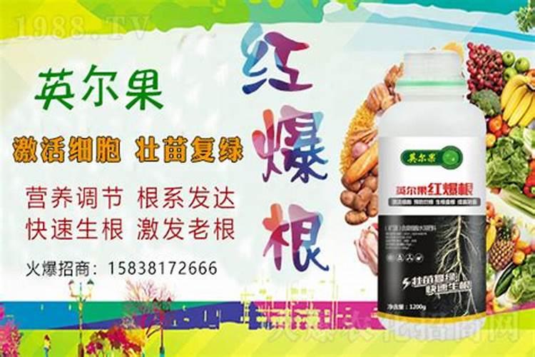 盆栽花卉用什么肥料比较好？哪些肥料生根壮根肥效好？