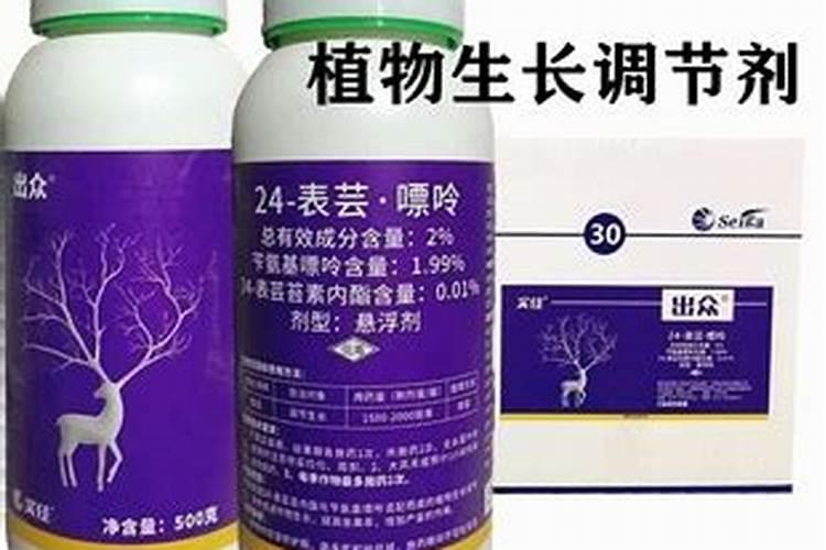 刚插接的黄瓜苗可以喷洒芸苔素内脂吗？
