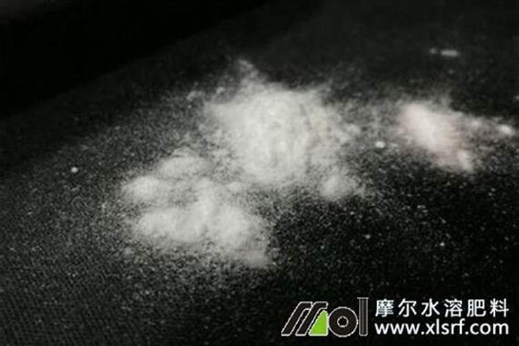 含海藻酸水溶肥料的养分构成、功效是怎样的？