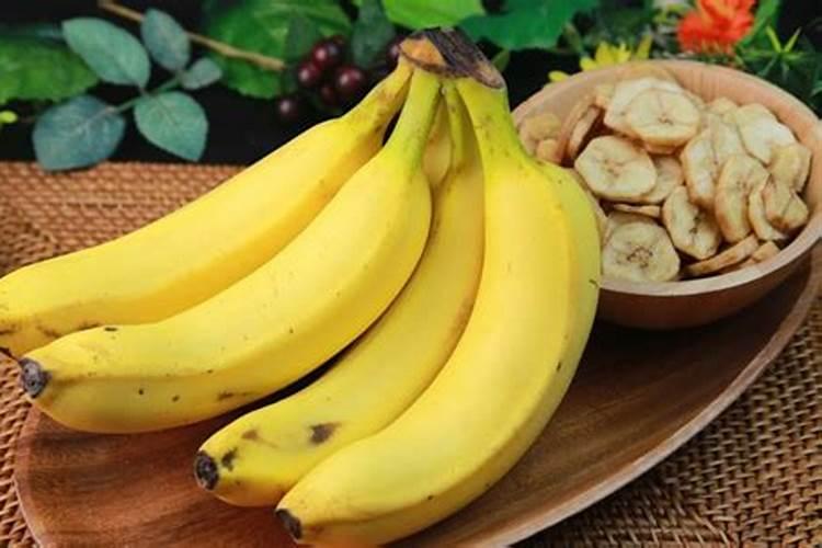 黄豆发酵做养花肥料步骤,先浇水还是先施肥