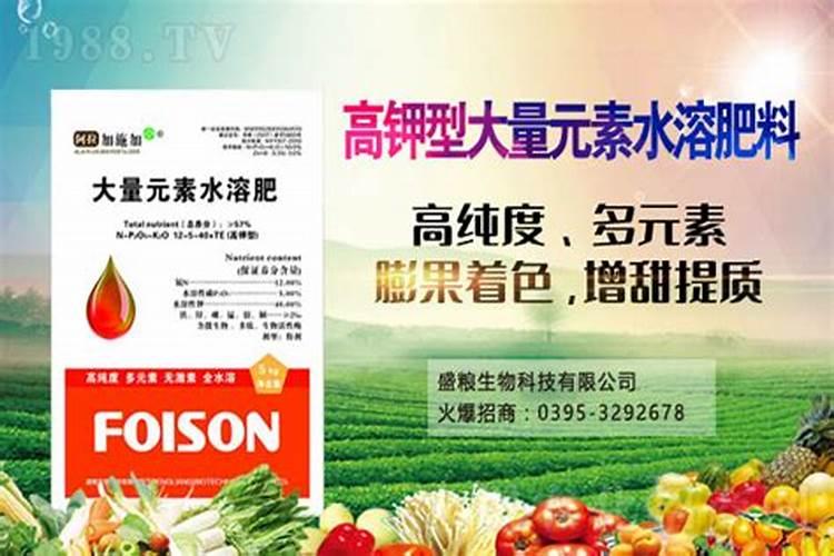 玉米水溶肥的使用方法