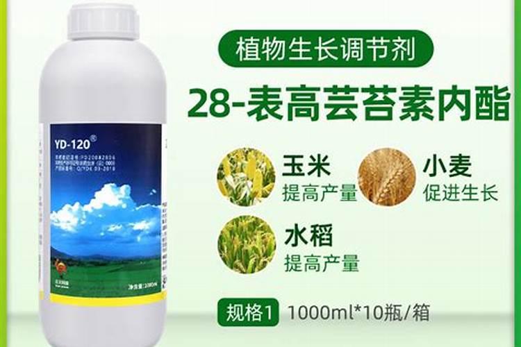 0.15%芸苔素具体作物上的应用