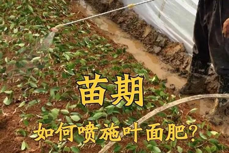 低氯复合肥和硫酸钾复合肥有什么区别？