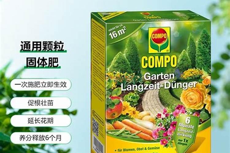 花菜是怎样种植的什么时间种植