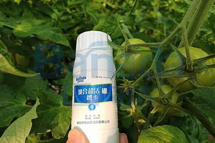 硼肥简介及详细资料