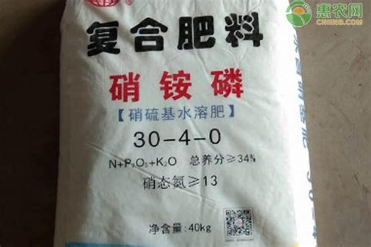 草莓种子什么时候播种
