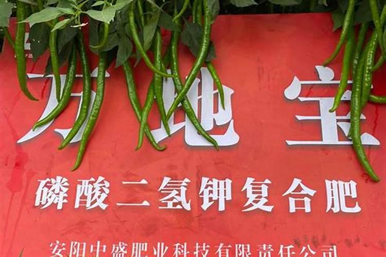 水溶肥是什么肥料