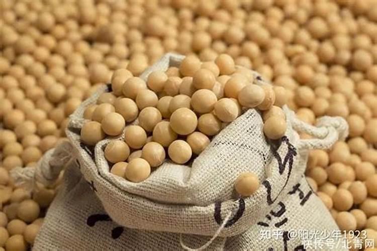 豆子几天出苗 播种到发芽出苗时间
